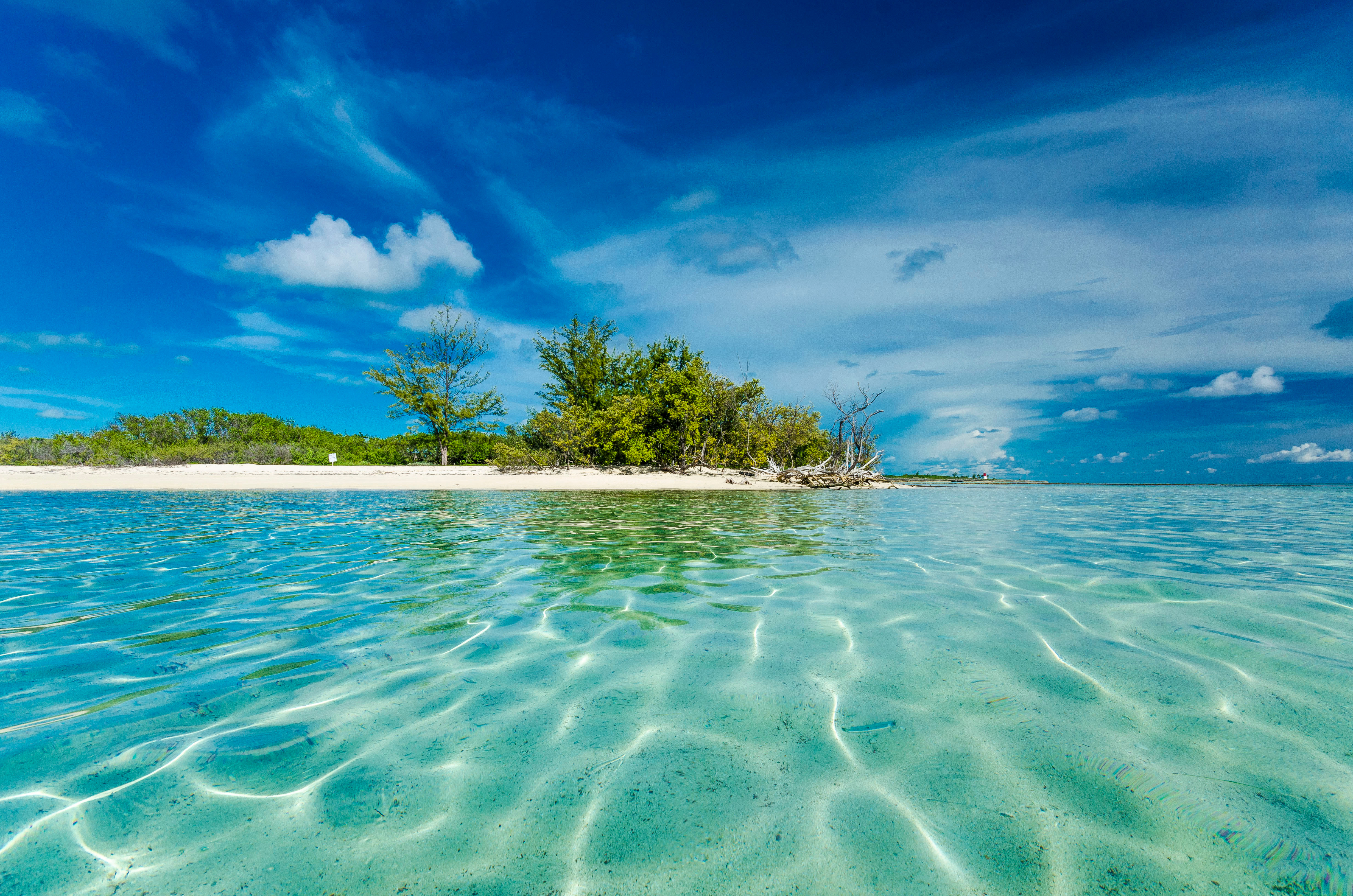 Palm-lined beach and turquoise water in the Bahamas
